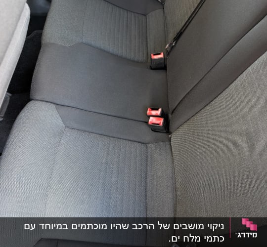 מושבי בד אחוריים ברכב לאחר ניקוי ריפודים מקצועי